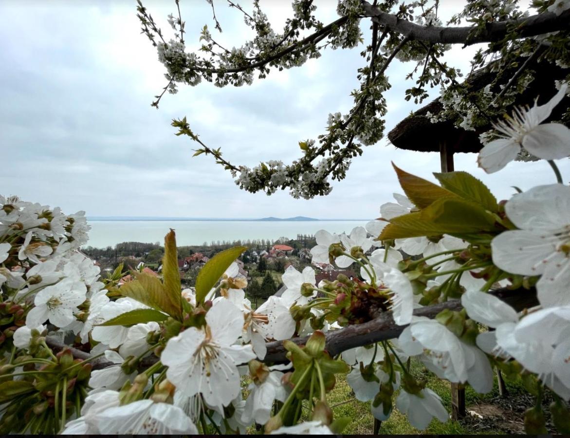 Panorama Apartmanhaz Badacsonytomaj Zewnętrze zdjęcie