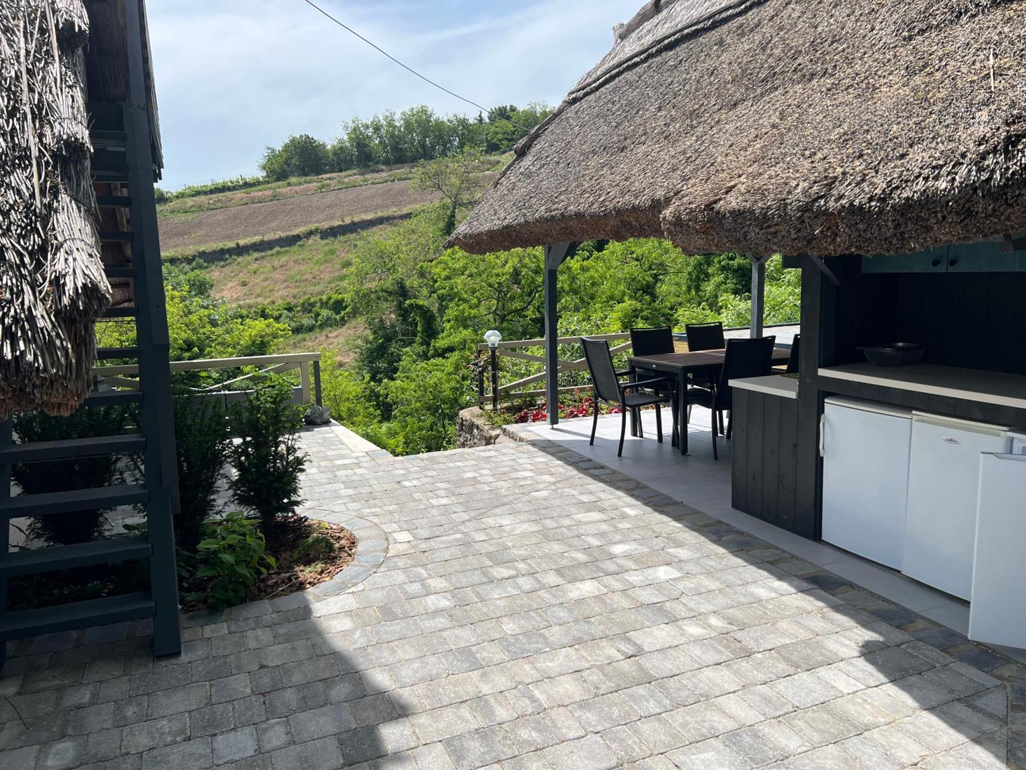Panorama Apartmanhaz Badacsonytomaj Zewnętrze zdjęcie